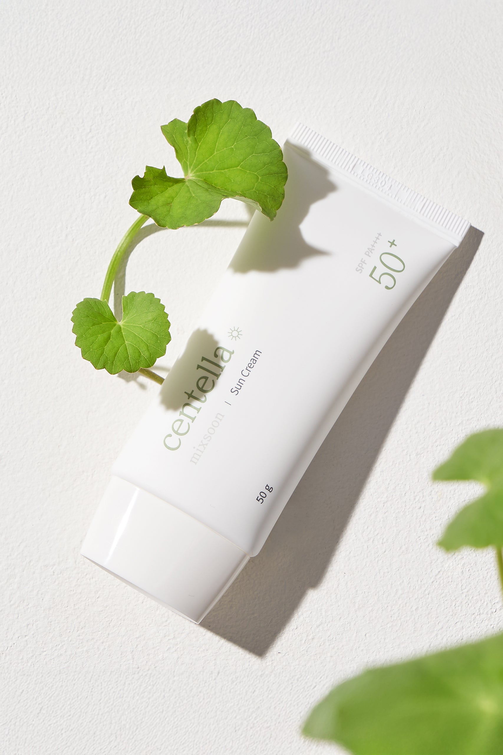 Centella Sun Cream - Sunscreen cream with Centella Asiatica extract
