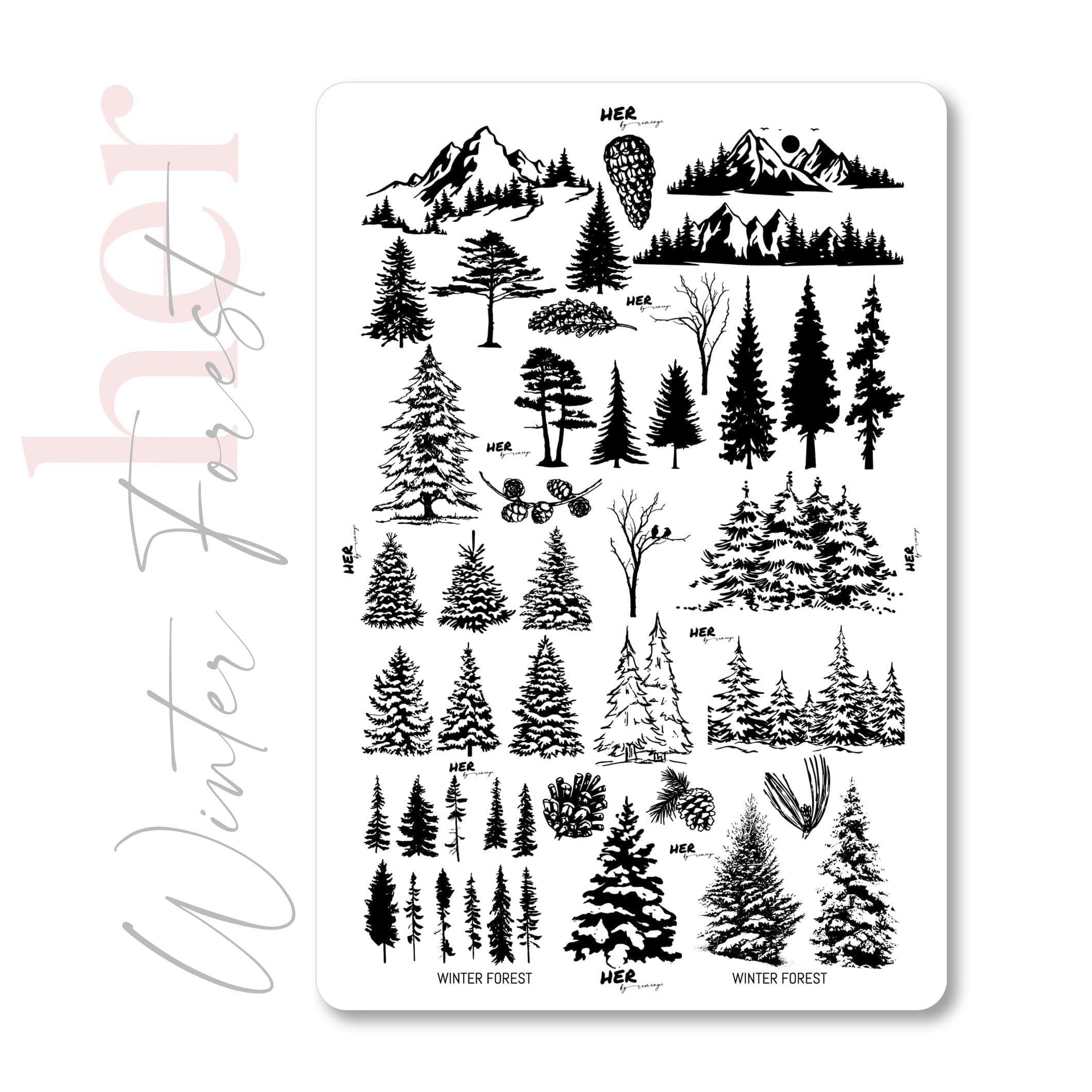 Winter Forest MATRITA