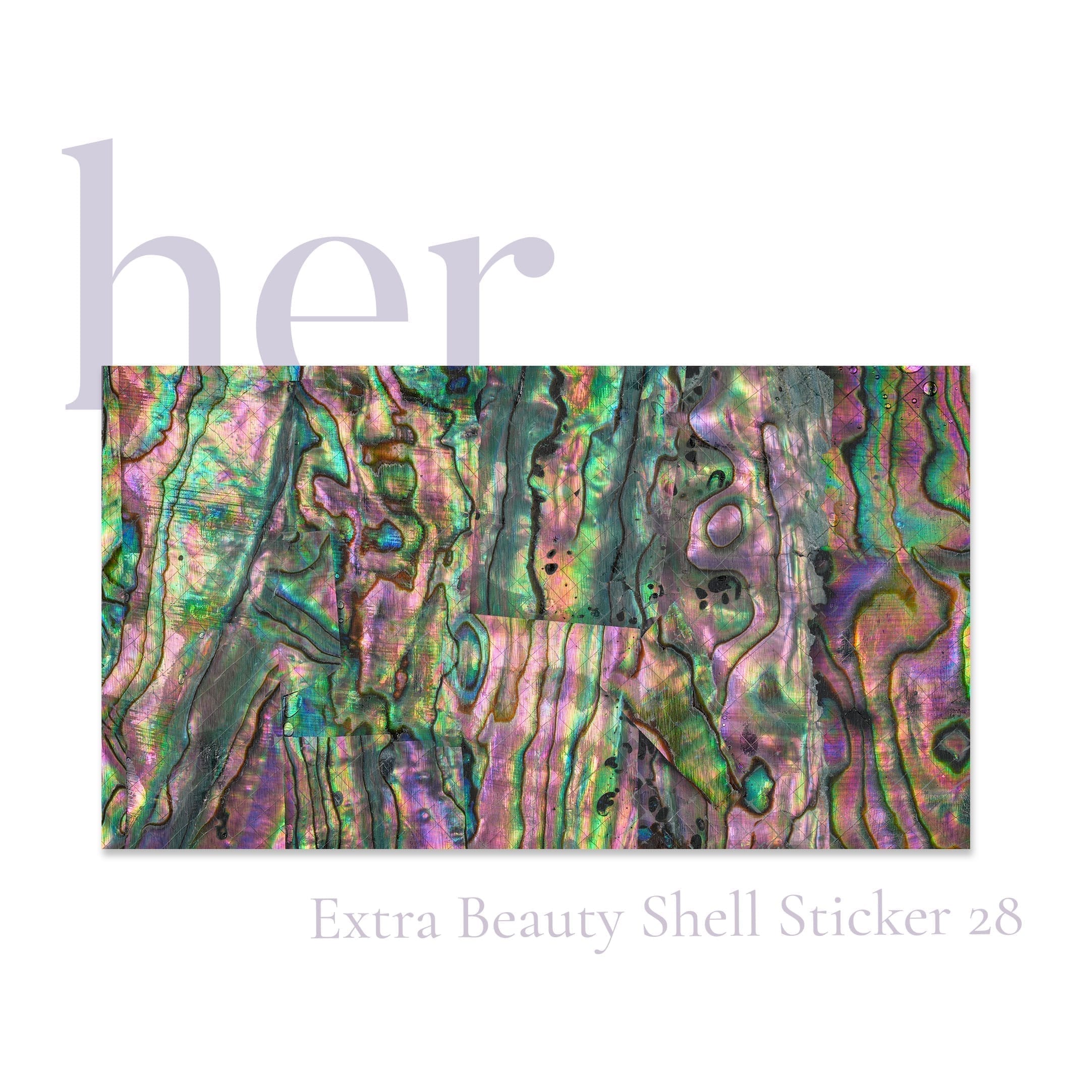 Shell Sticker 28
