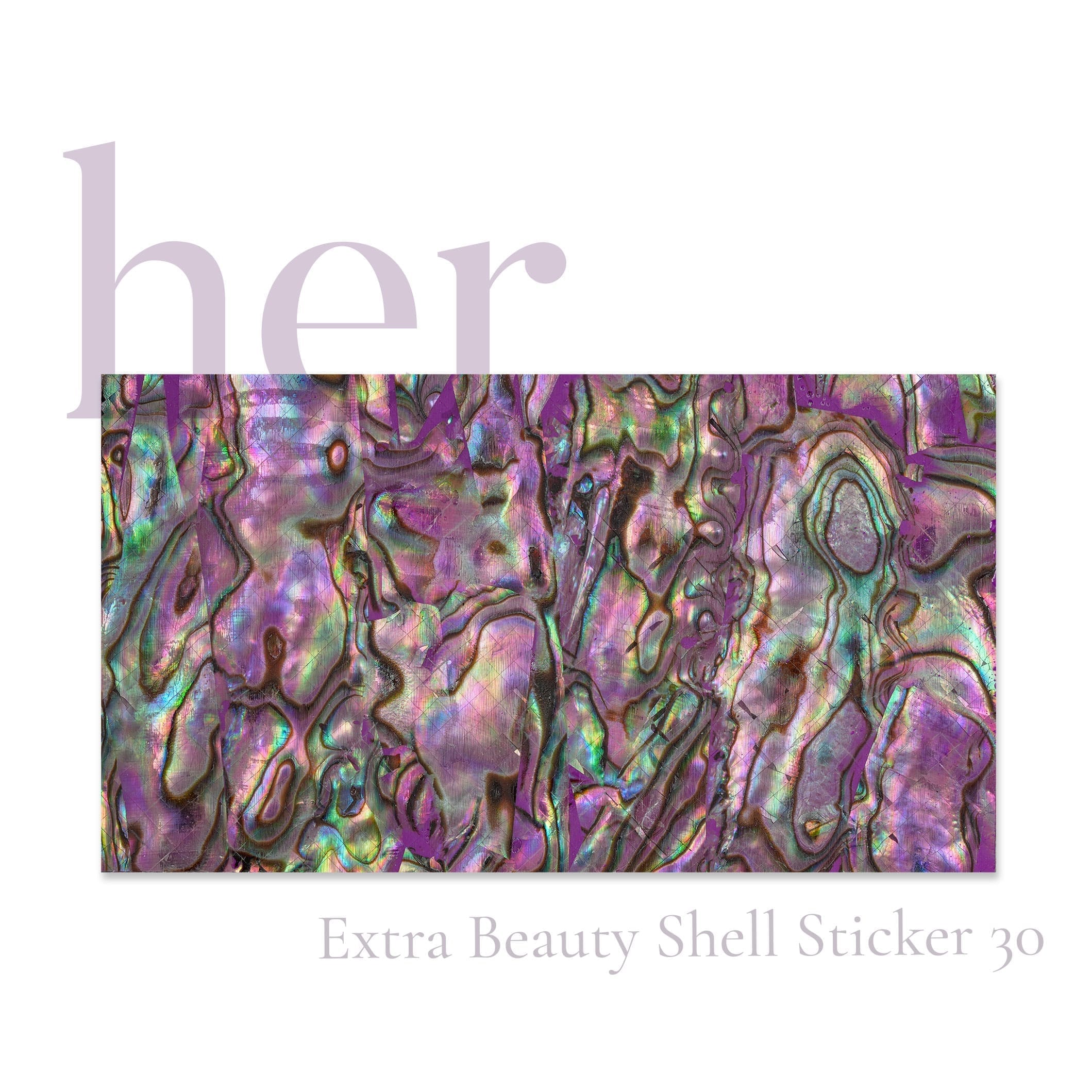 Shell Sticker 30