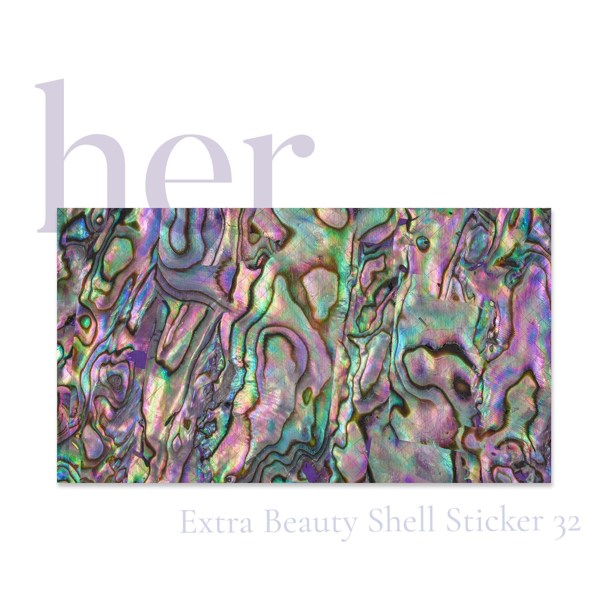 Shell Sticker 32