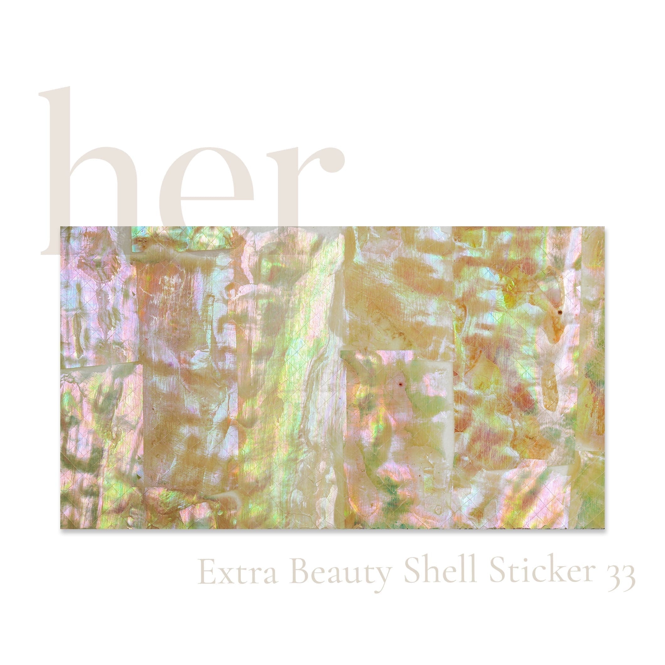 Shell Sticker 33