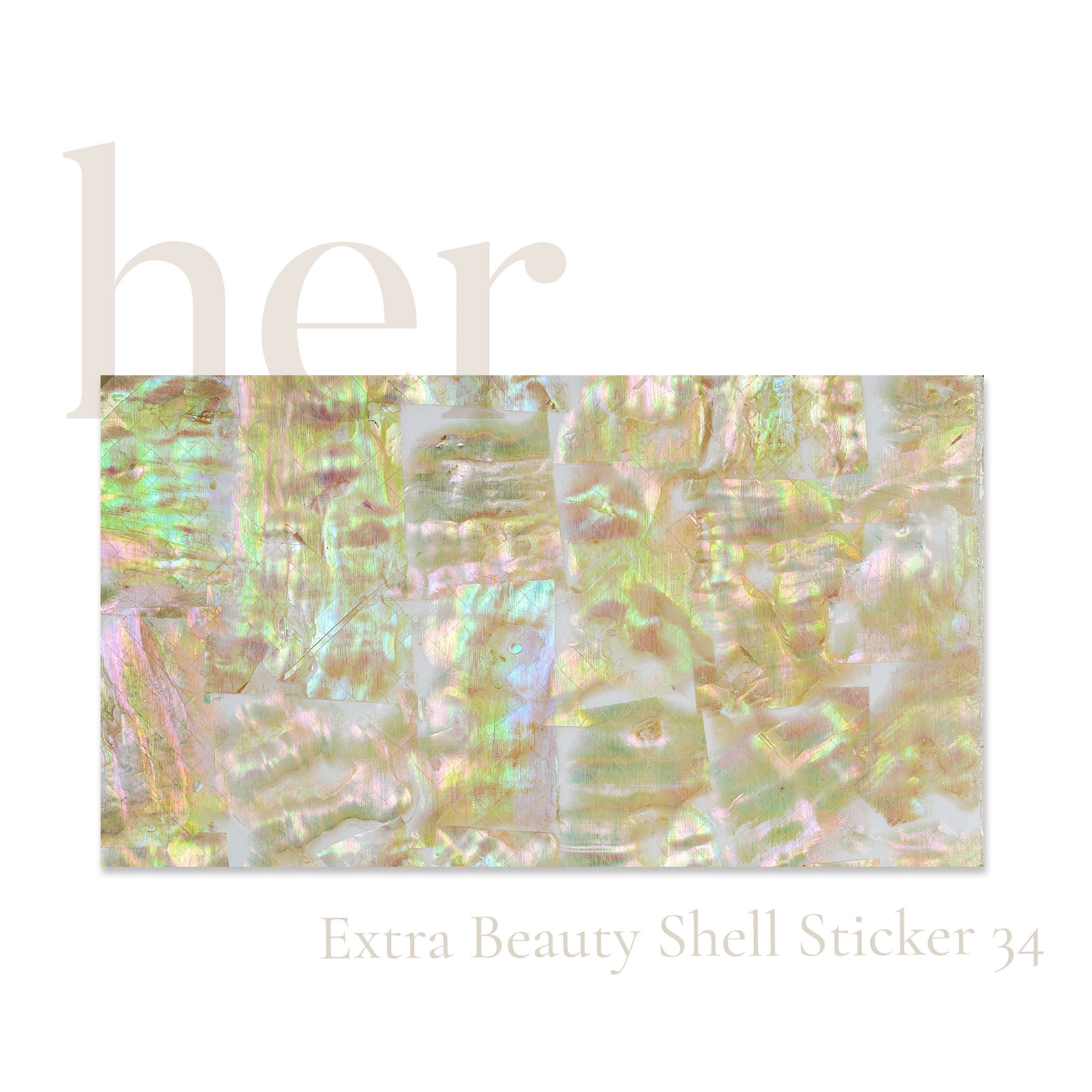 Shell Sticker 34