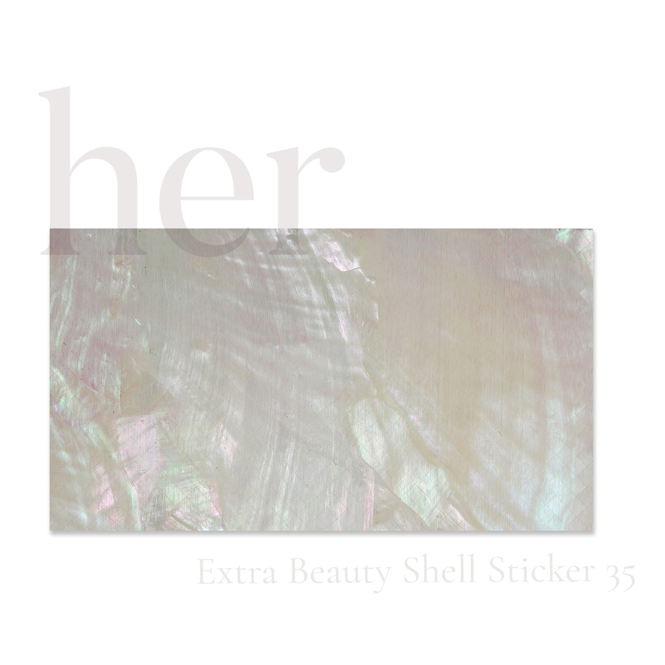 Shell Sticker 35