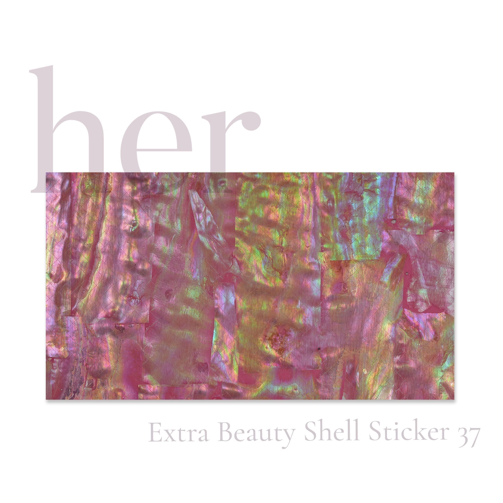 Shell Sticker 37