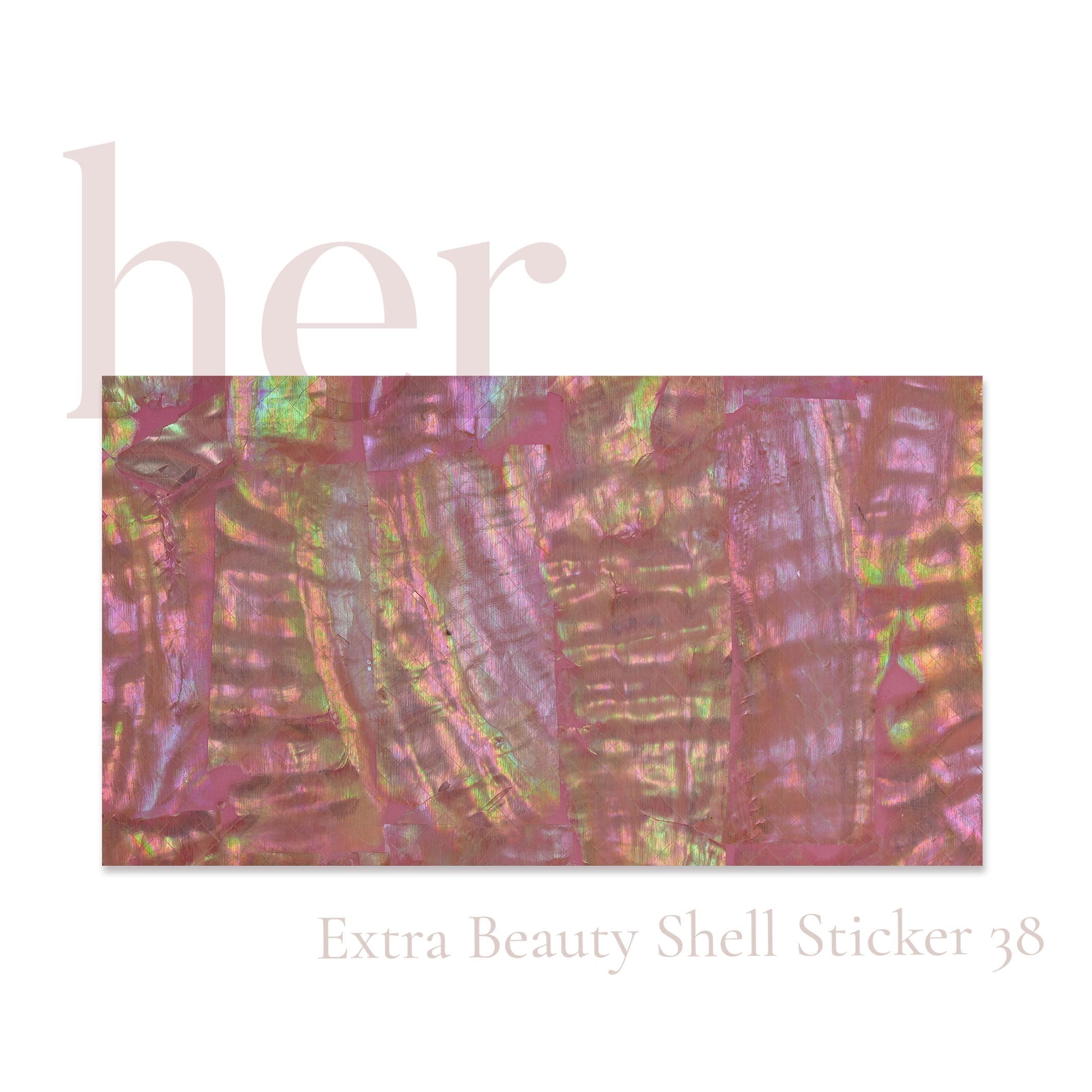 Shell Sticker 38