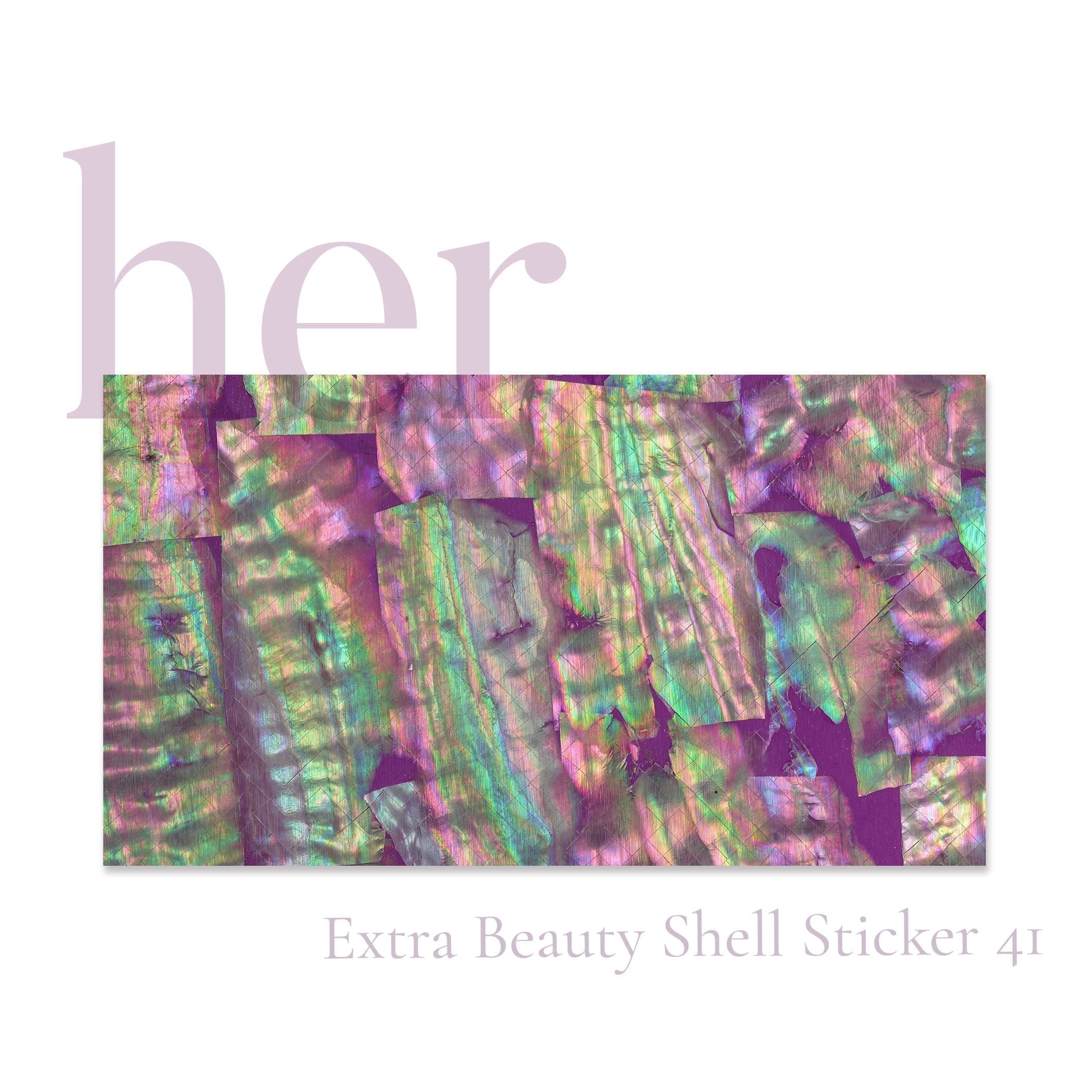 Shell Sticker 41