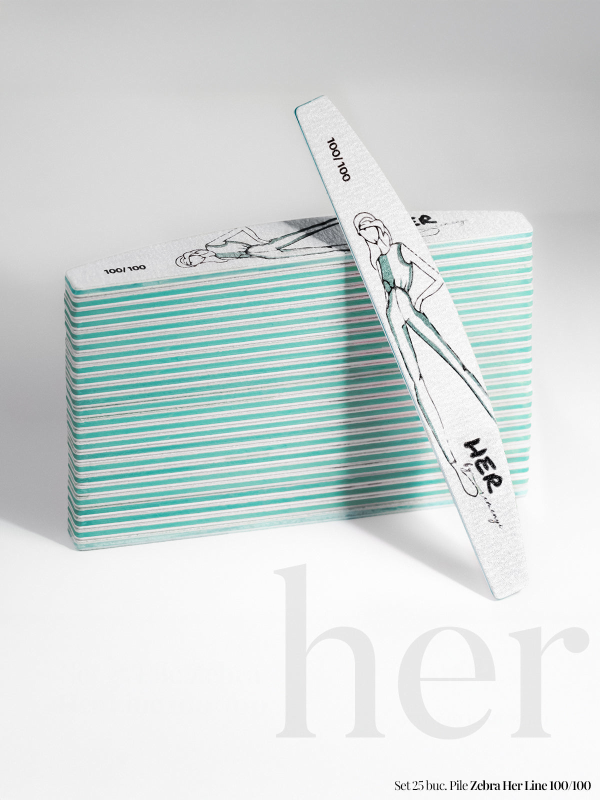 Set of 25 Zebra HER LINE 100/100 files