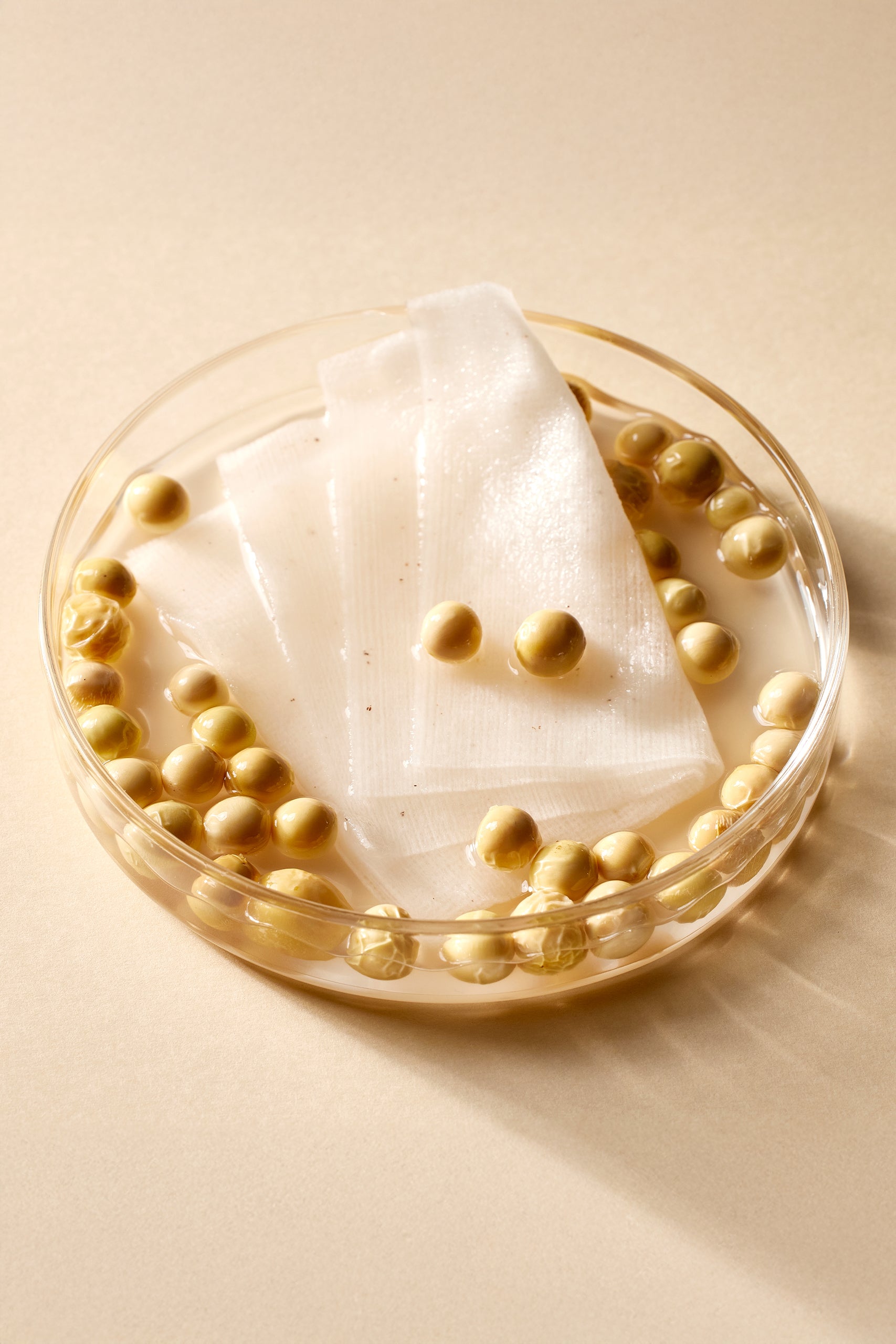 Bean Toner Pad â Facial toner with fermented extracts
