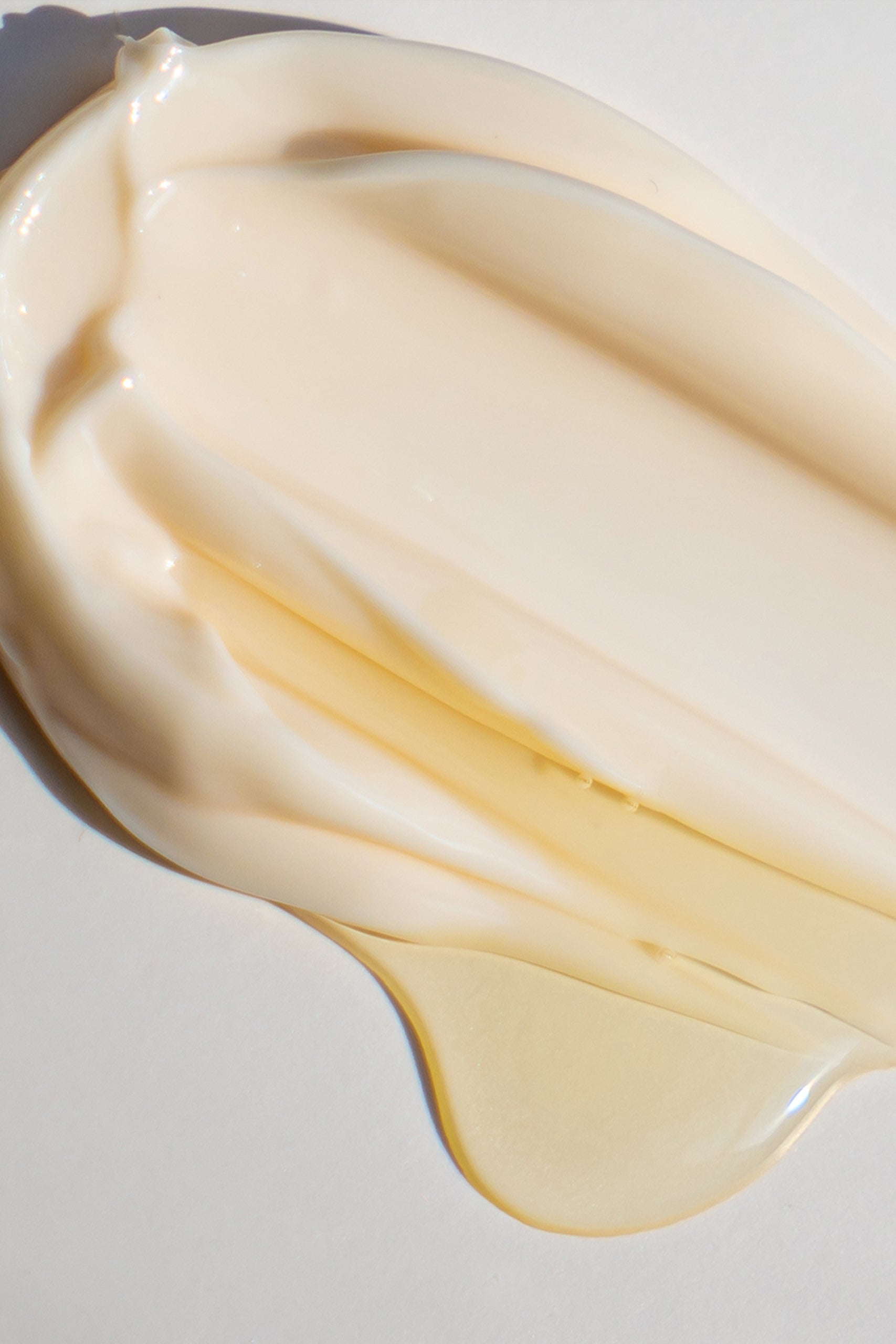 Bean Cream - Moisturizing face cream with fermented extracts