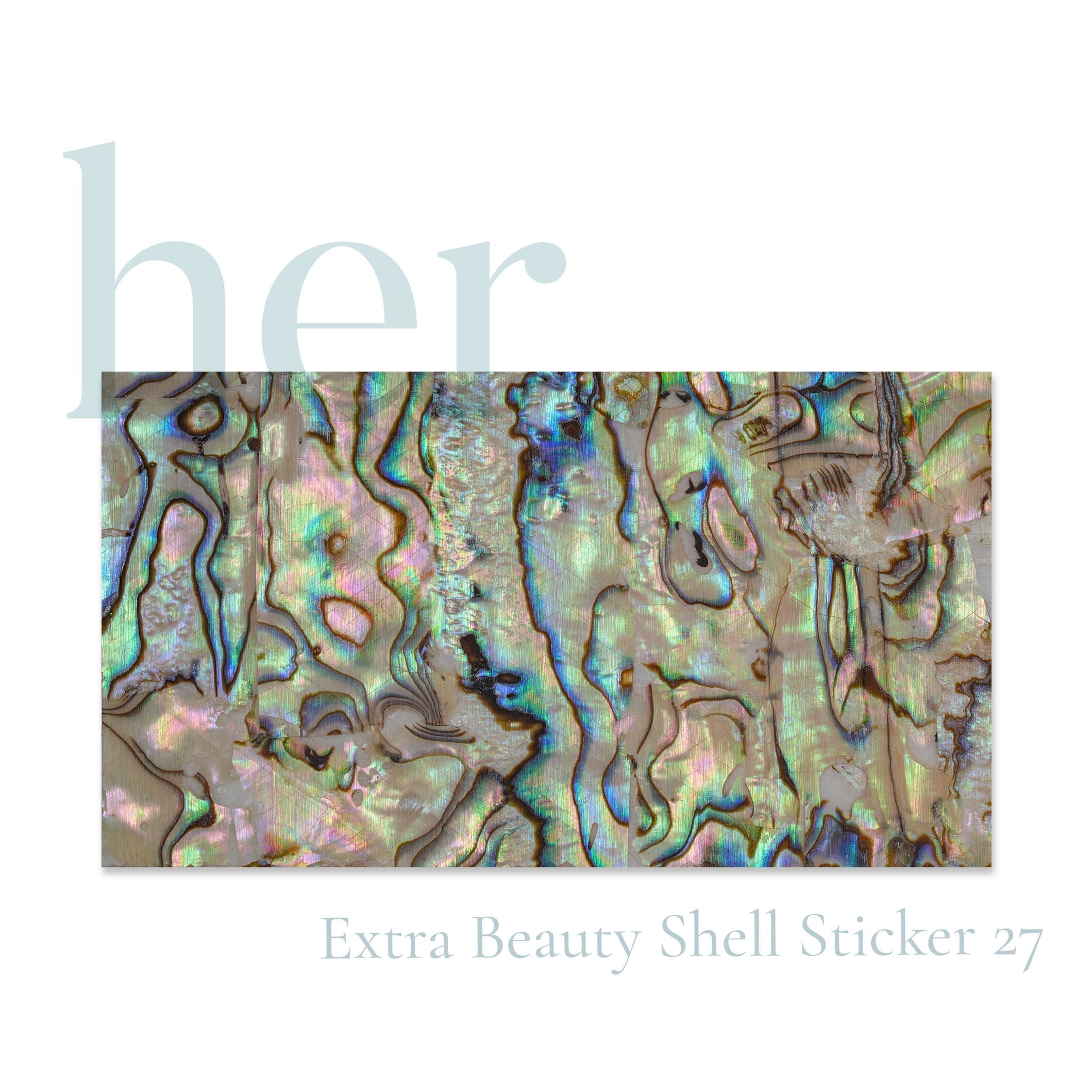 Shell Sticker 27 