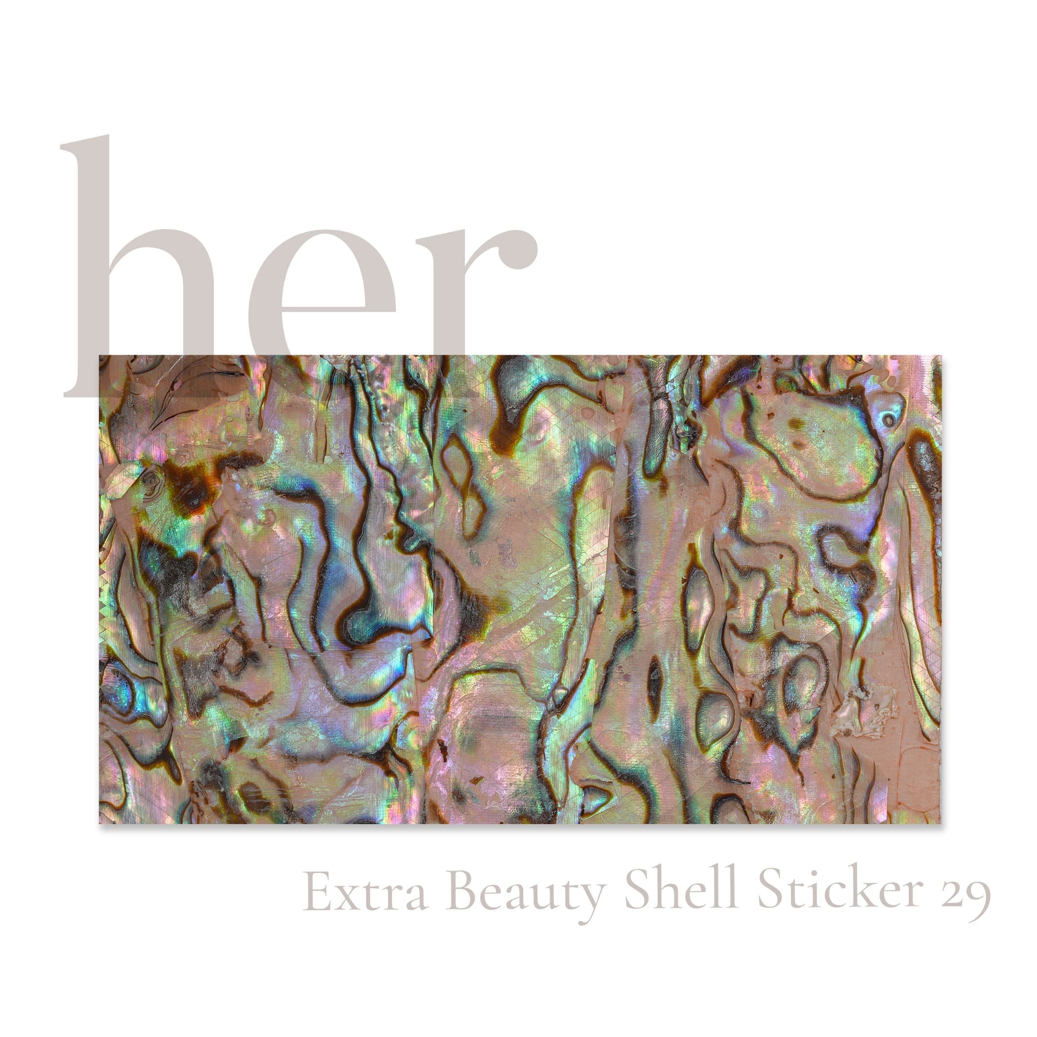 Shell Sticker 29 