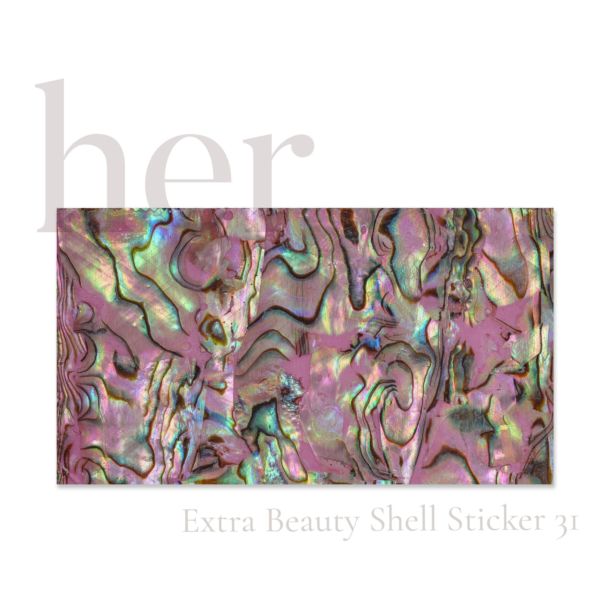 Shell Sticker 31 