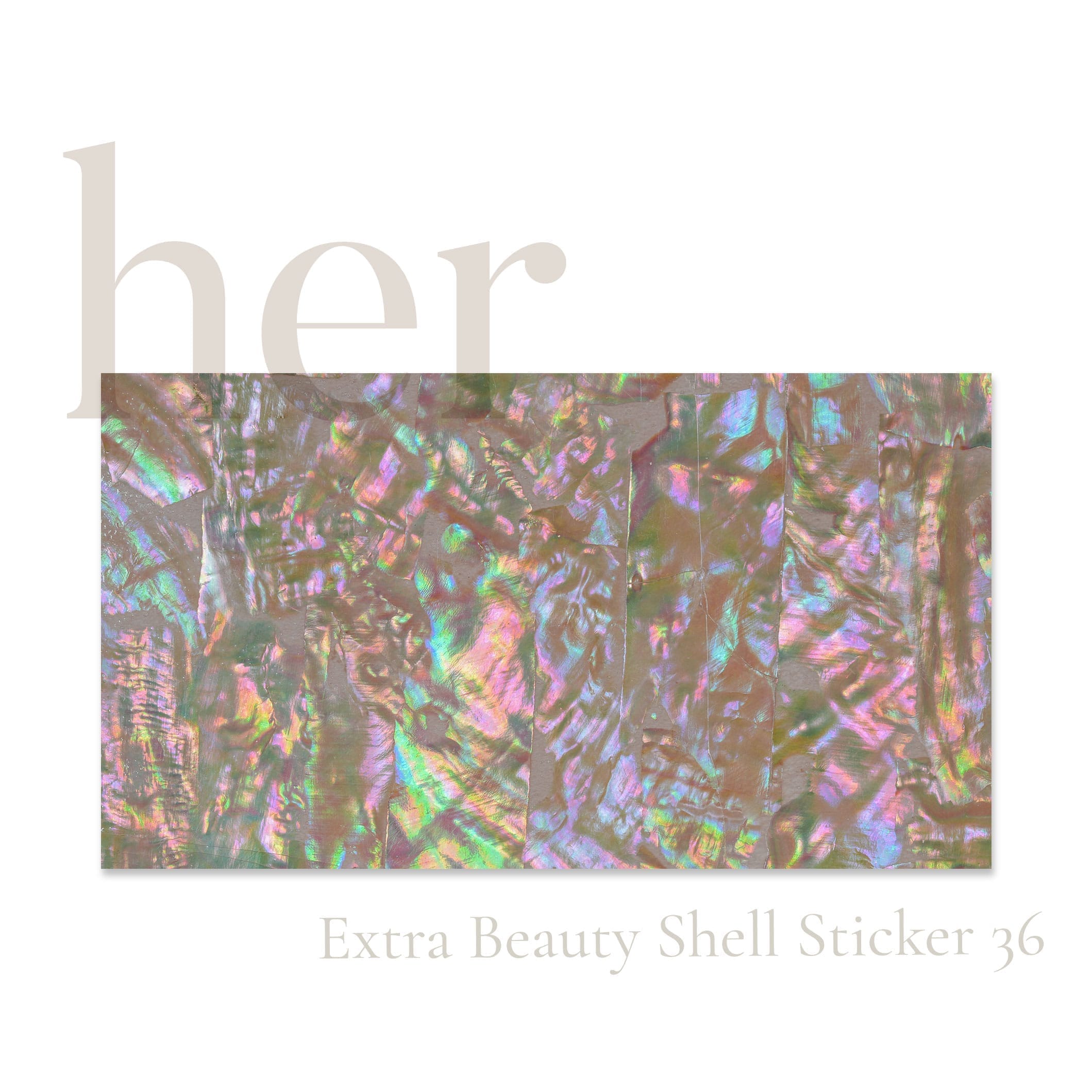 Shell Sticker 36 