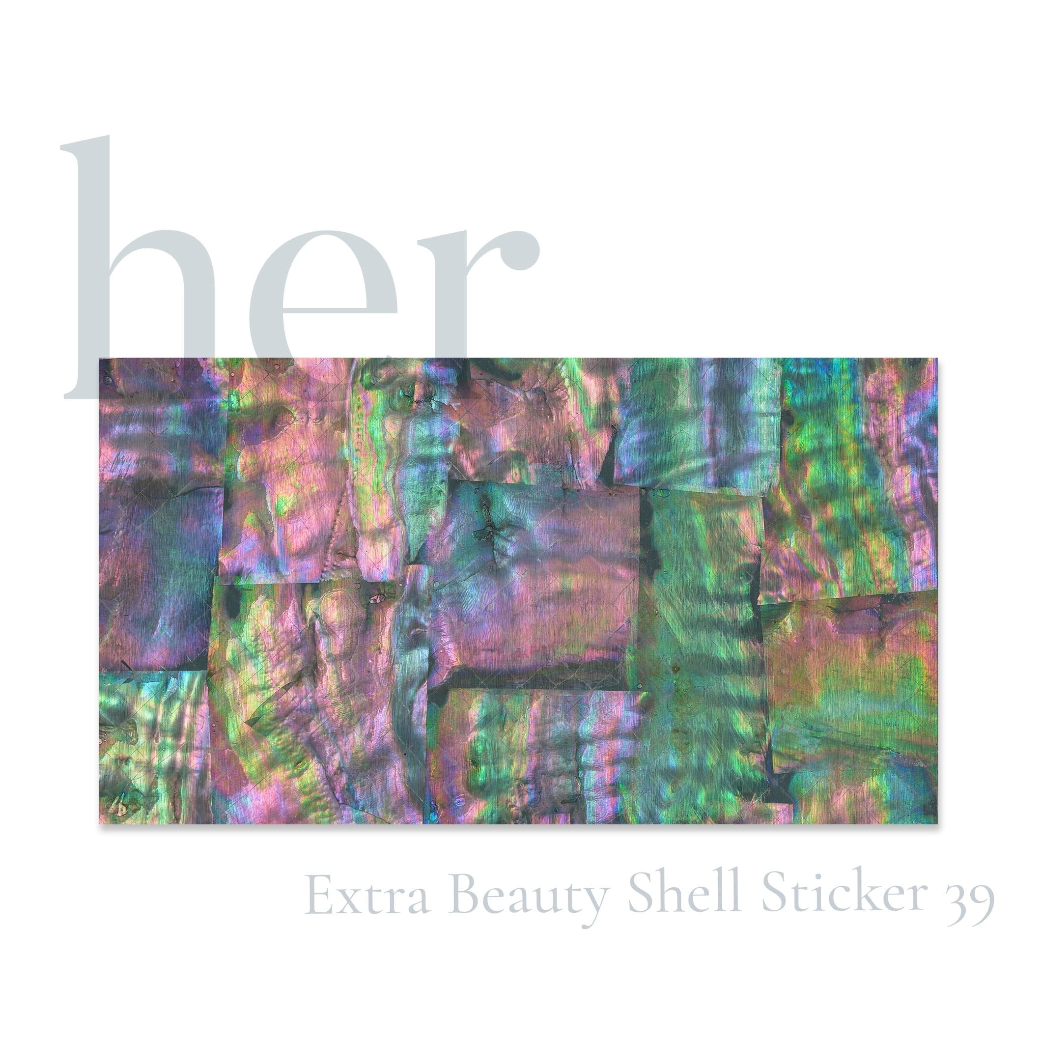 Shell Sticker 39 