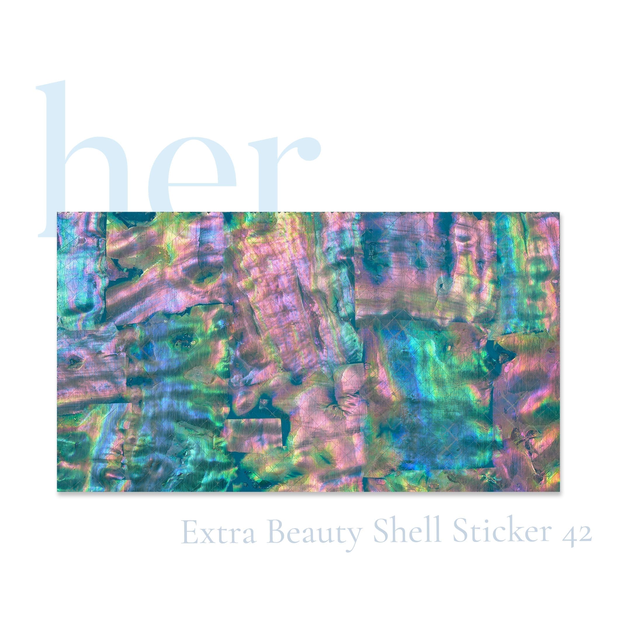 Shell Sticker 42 