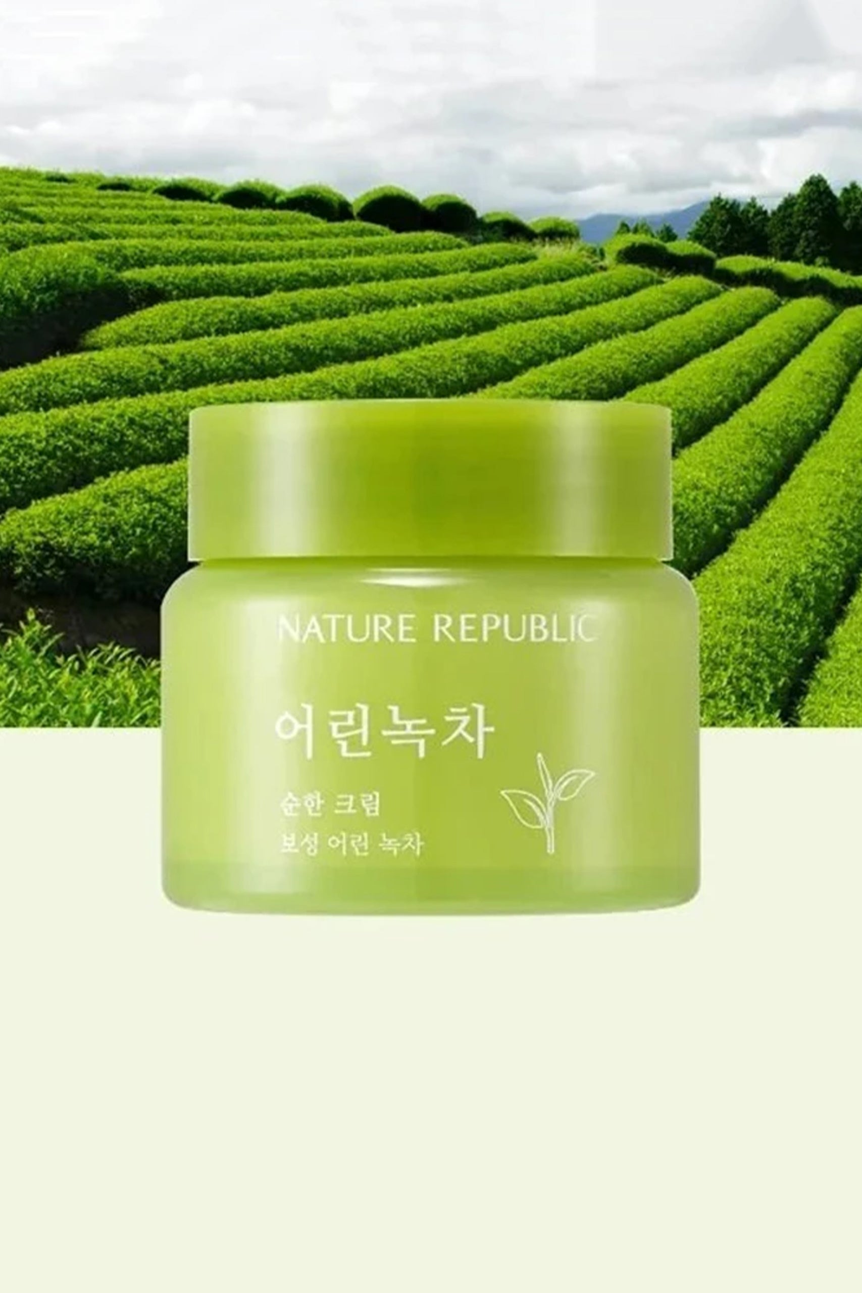 Mild Green Tea Cream - Moisturizing cream with Green Tea extract